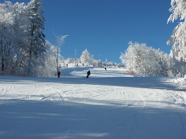 Laskowa - Kamionna