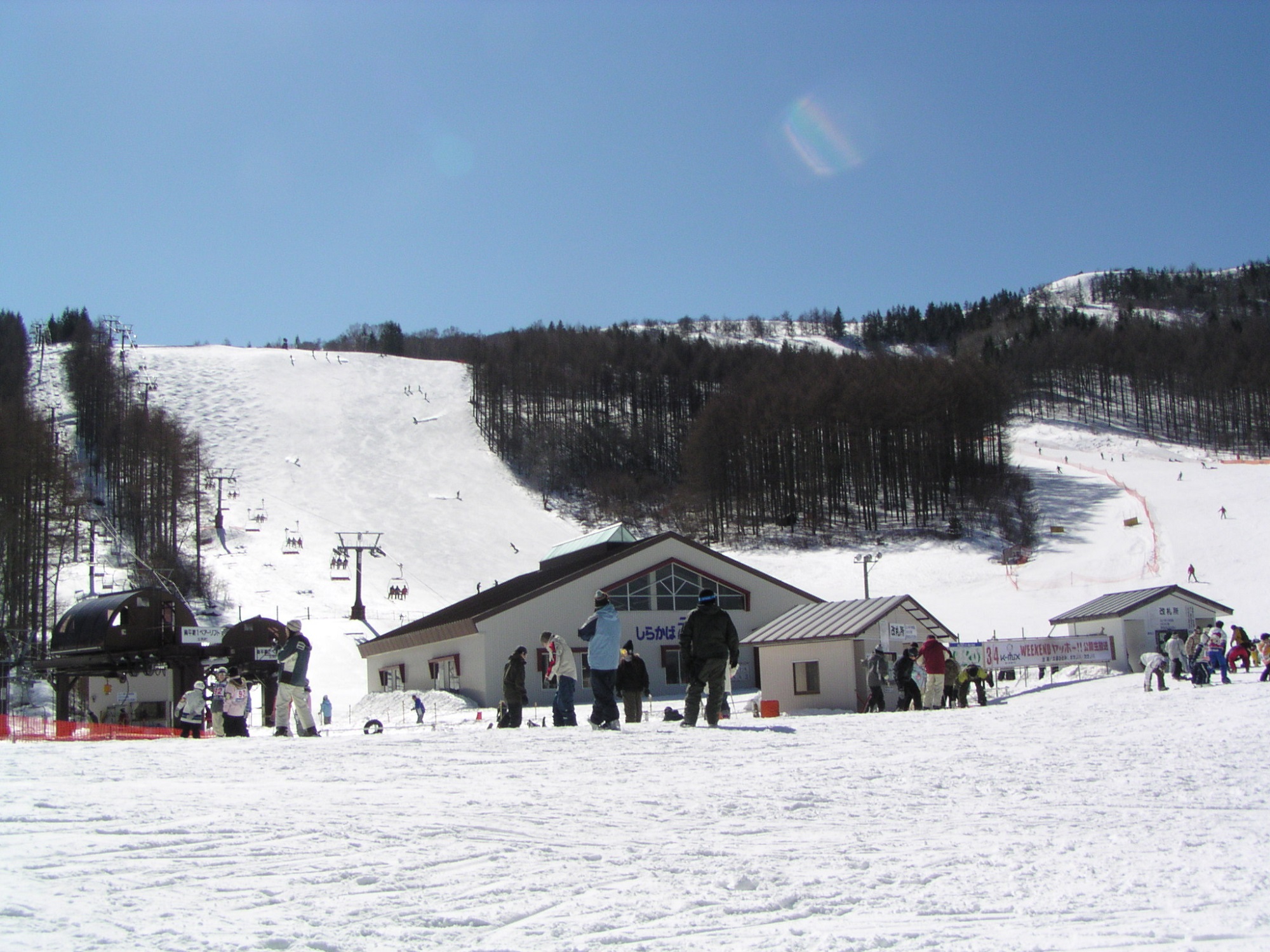 Shirakaba 2 in 1