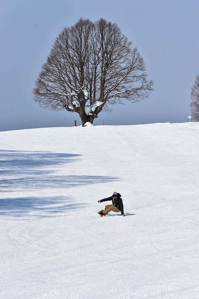 Myoko Suginohara Snow Resort