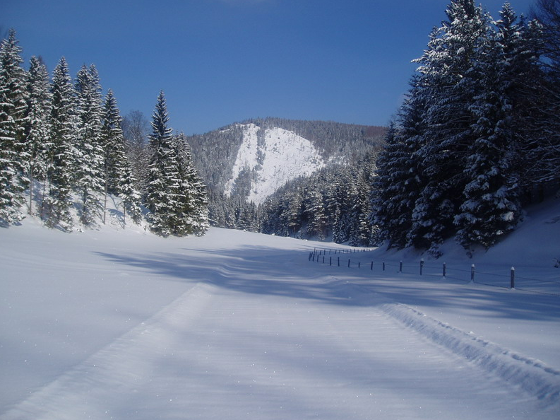 Furtnerlifte - Rohr im Gebirge