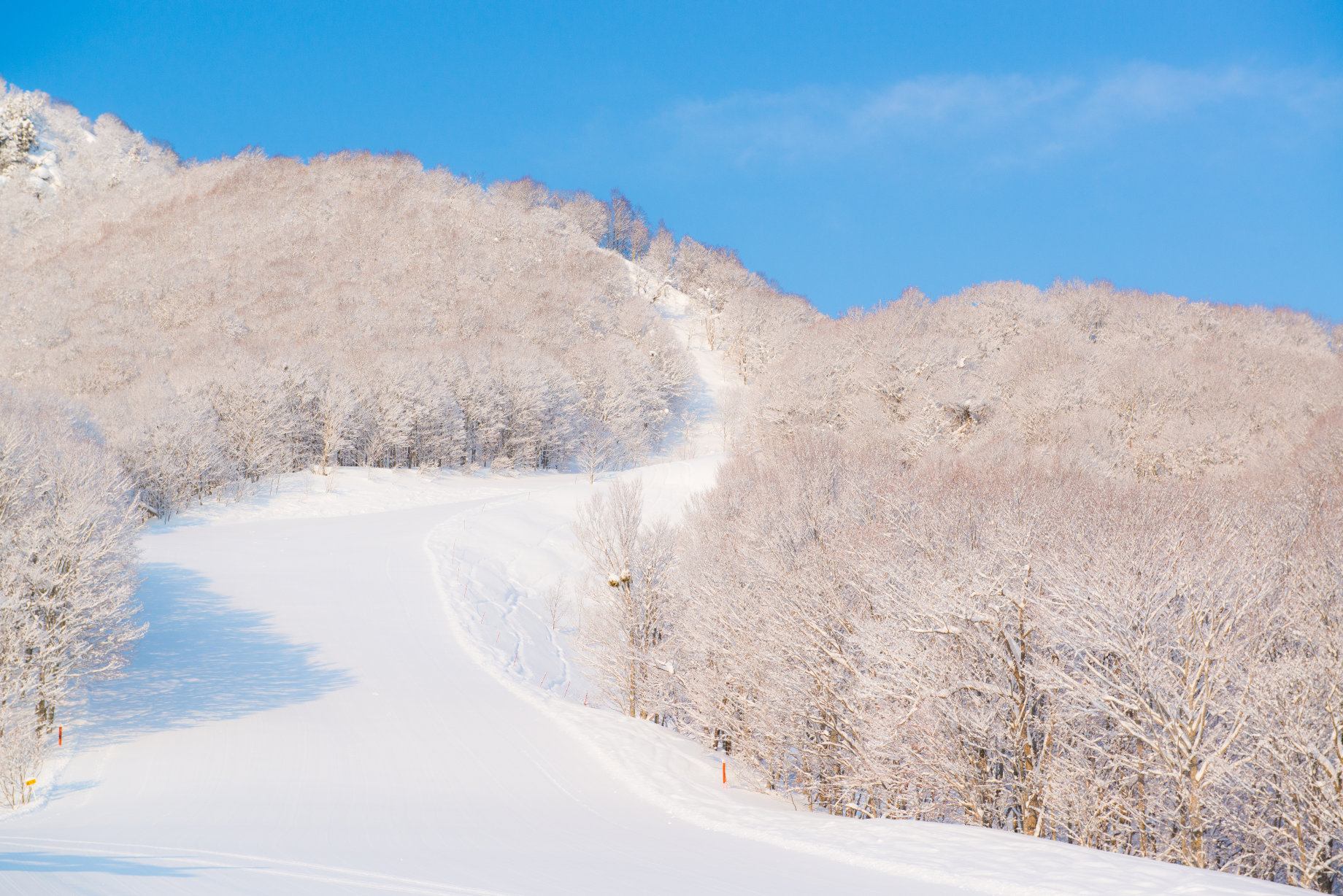 Aizu Kogen Daikura