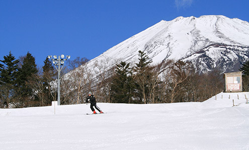 Snow Town Yeti