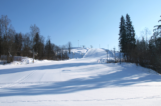 Tseleevo