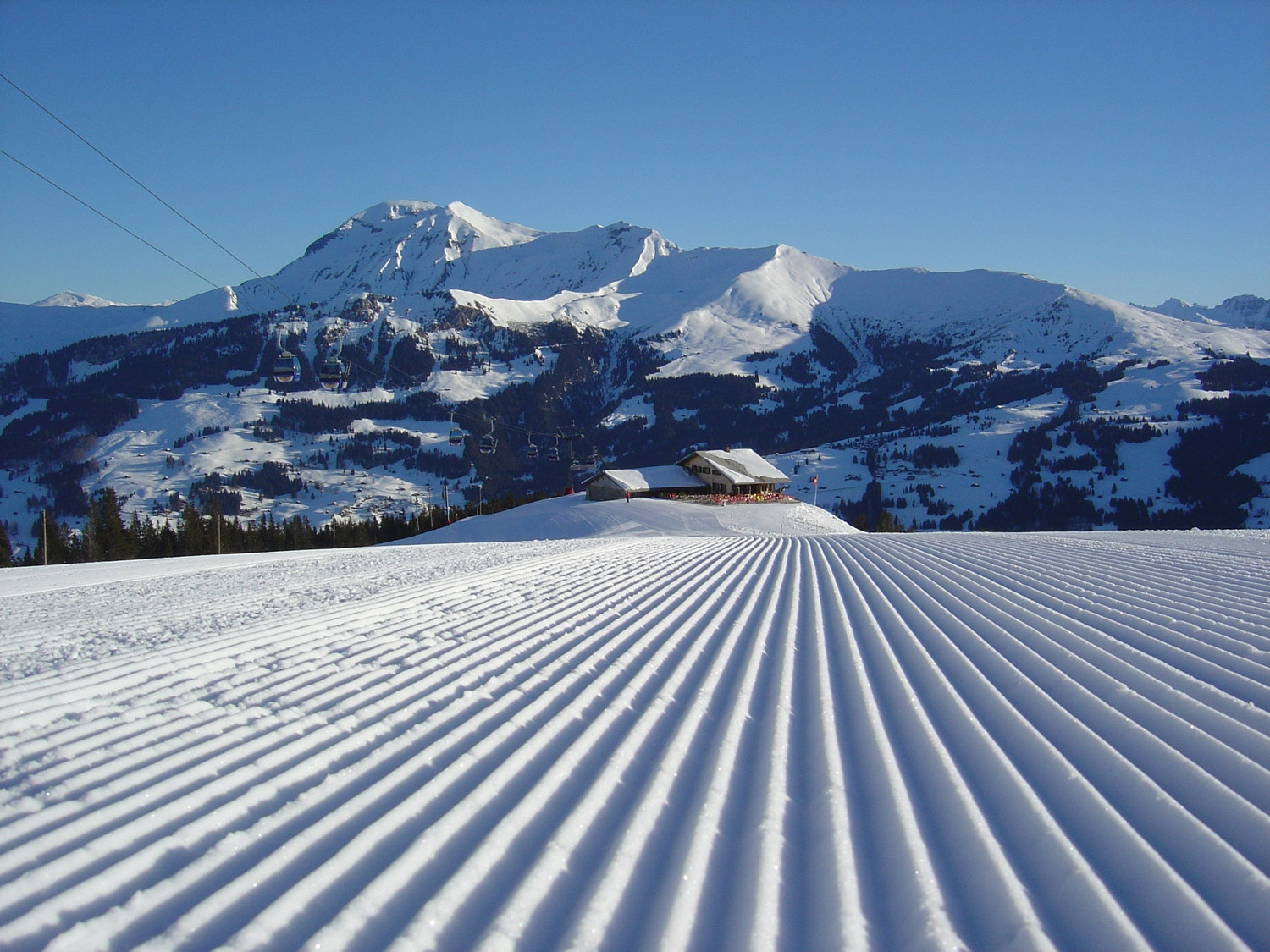 Lenk