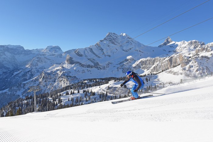 Braunwald