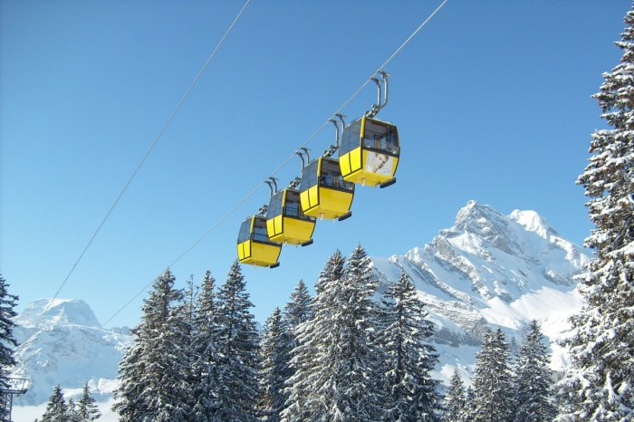 Braunwald