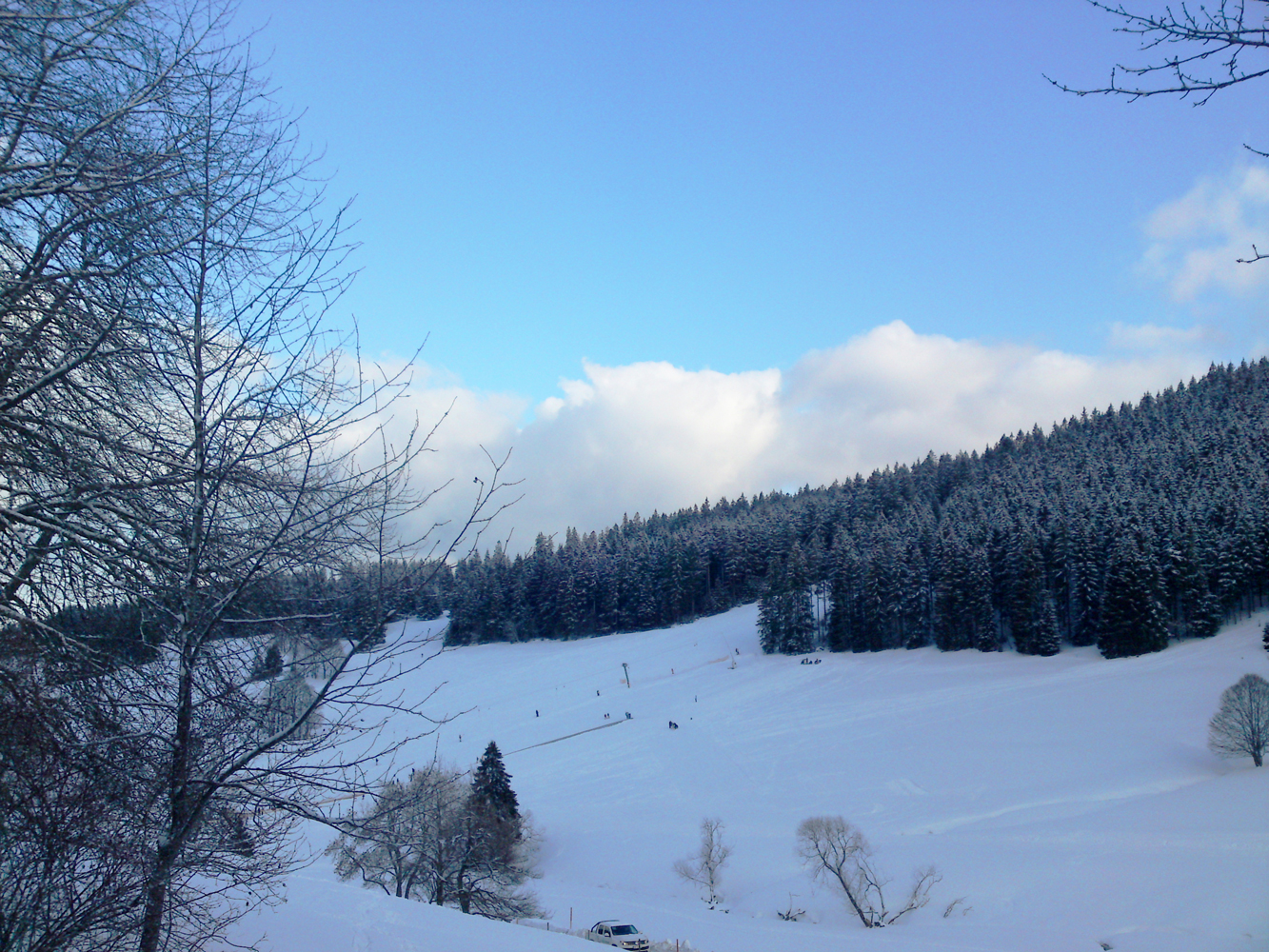 Altglashütten