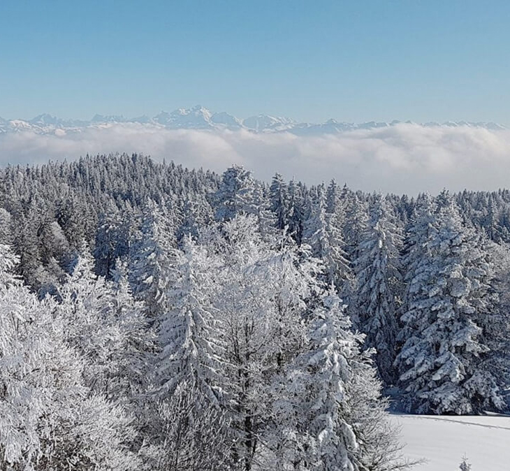 Kolbensattel Oberammergau