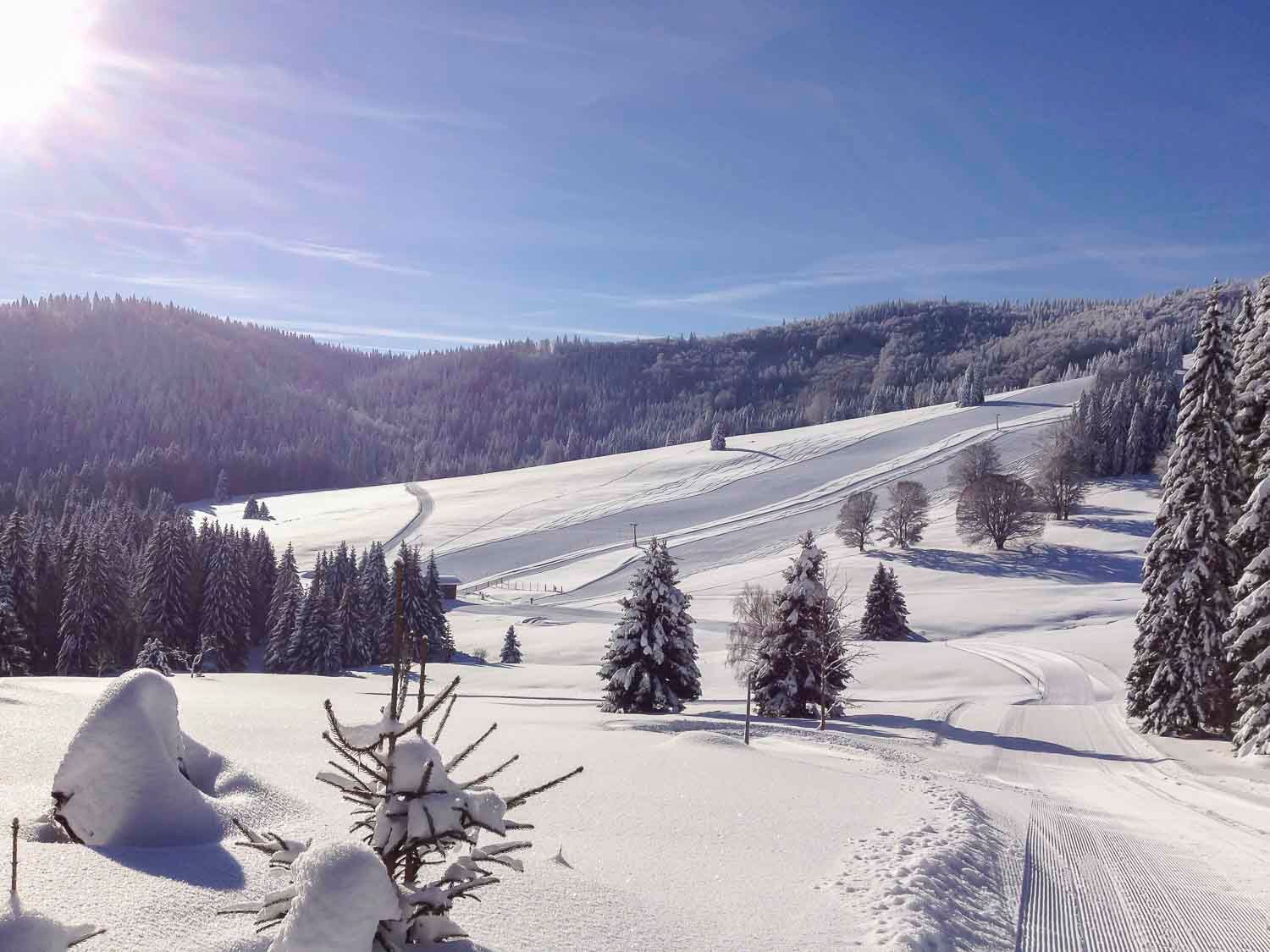 Menzenschwand