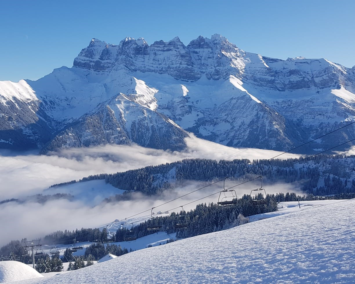 Morgins