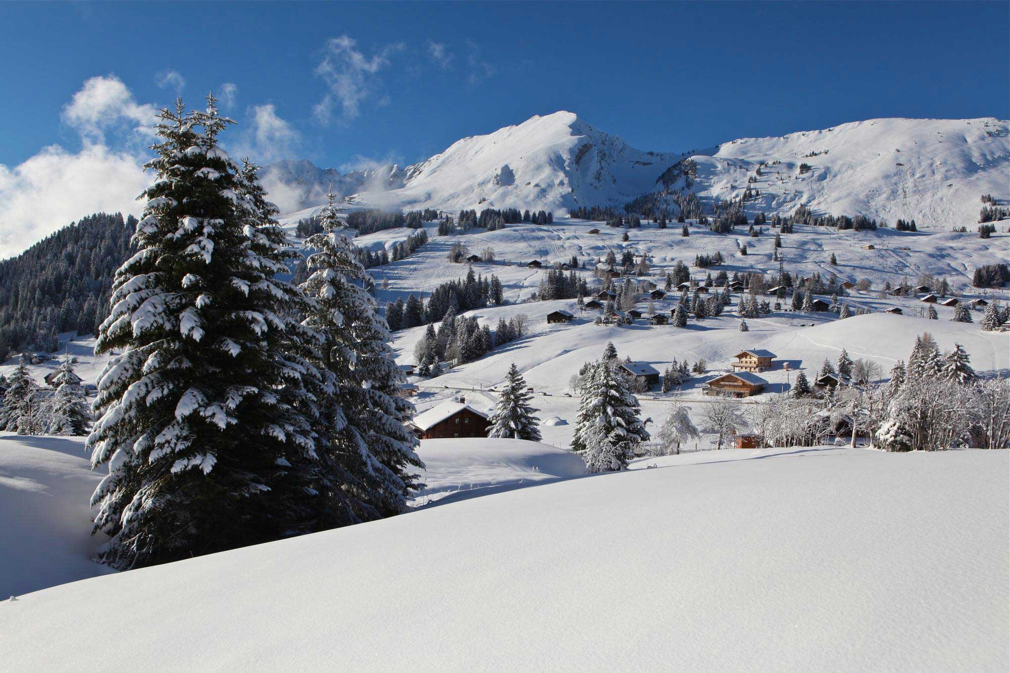 Leysin - Les Mosses - La Lécherette