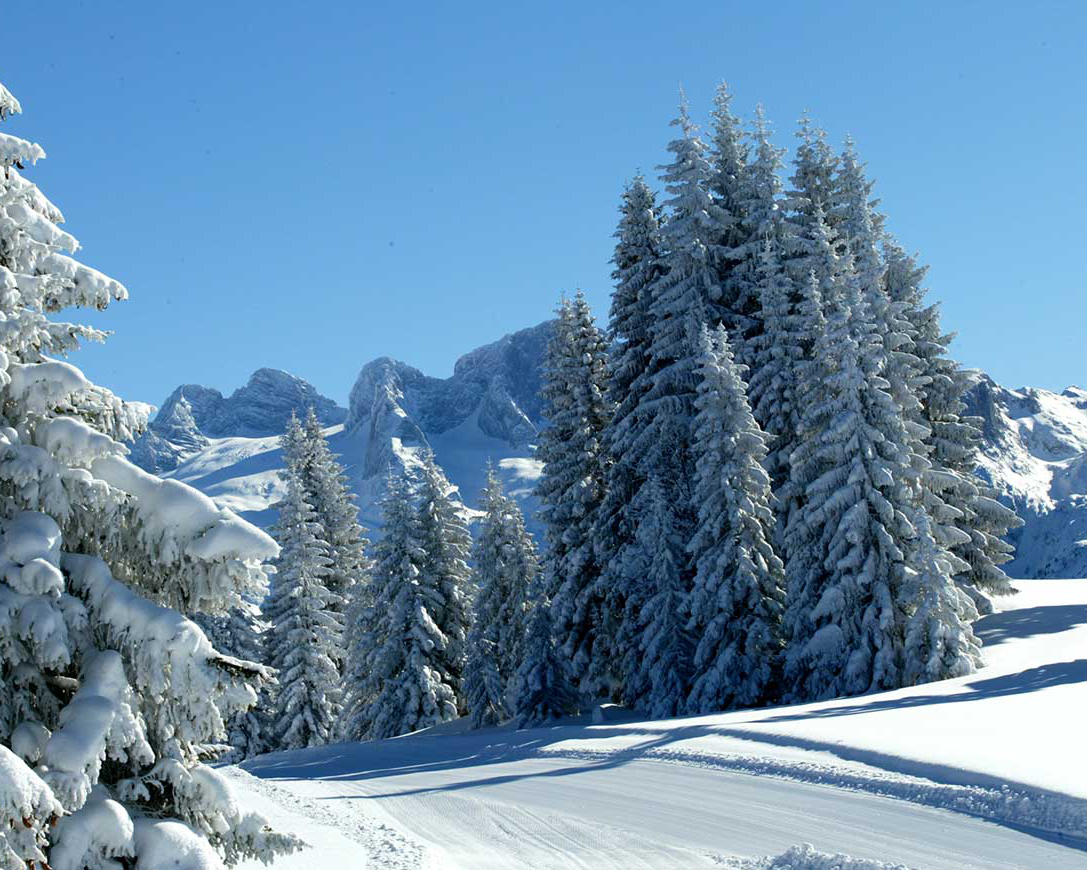 Hochficht