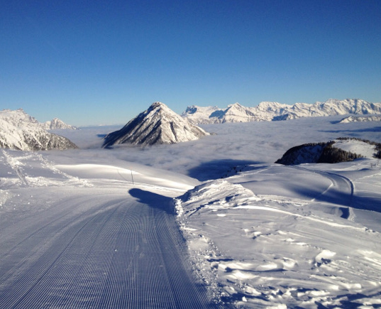 St-Bernard