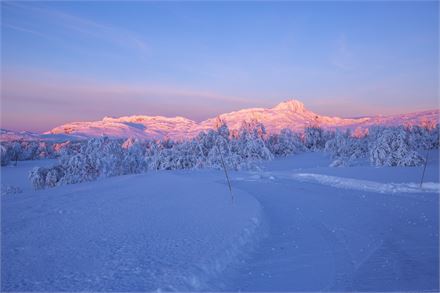 Beitostølen