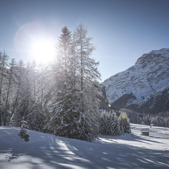 Braies - 3 Cime