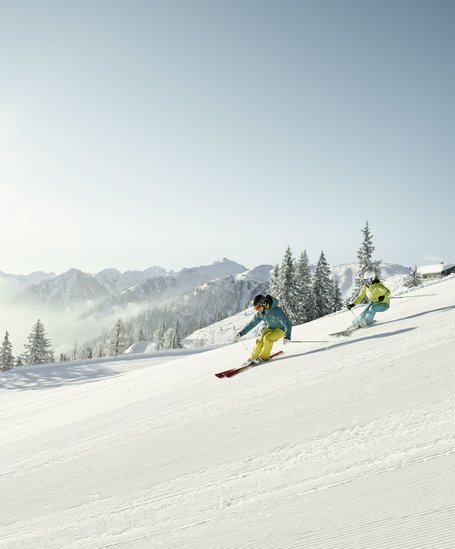 4-Berge Skischaukel Schladming