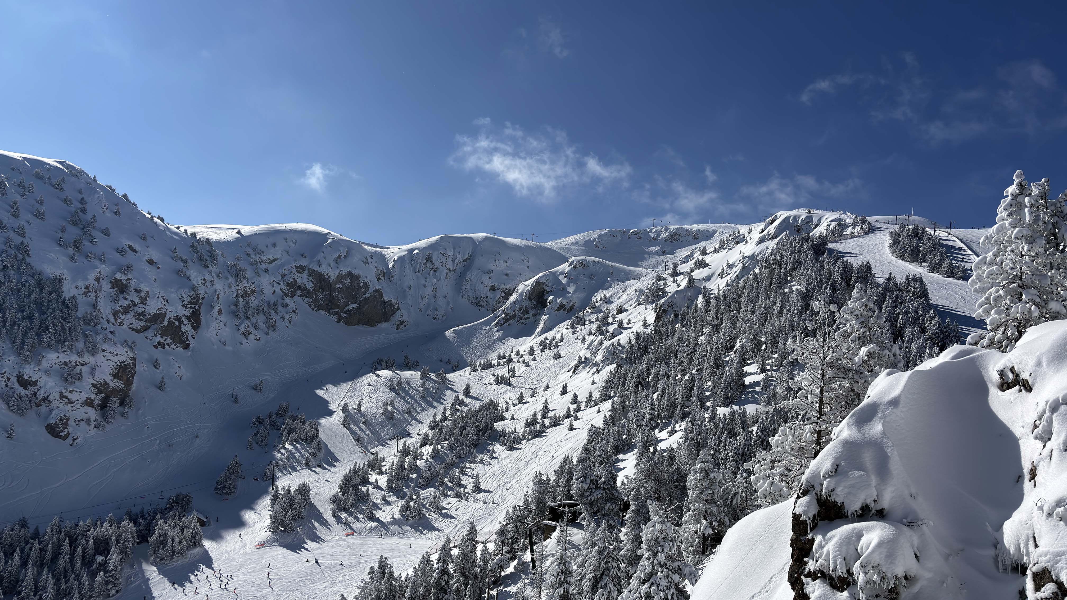 Masella