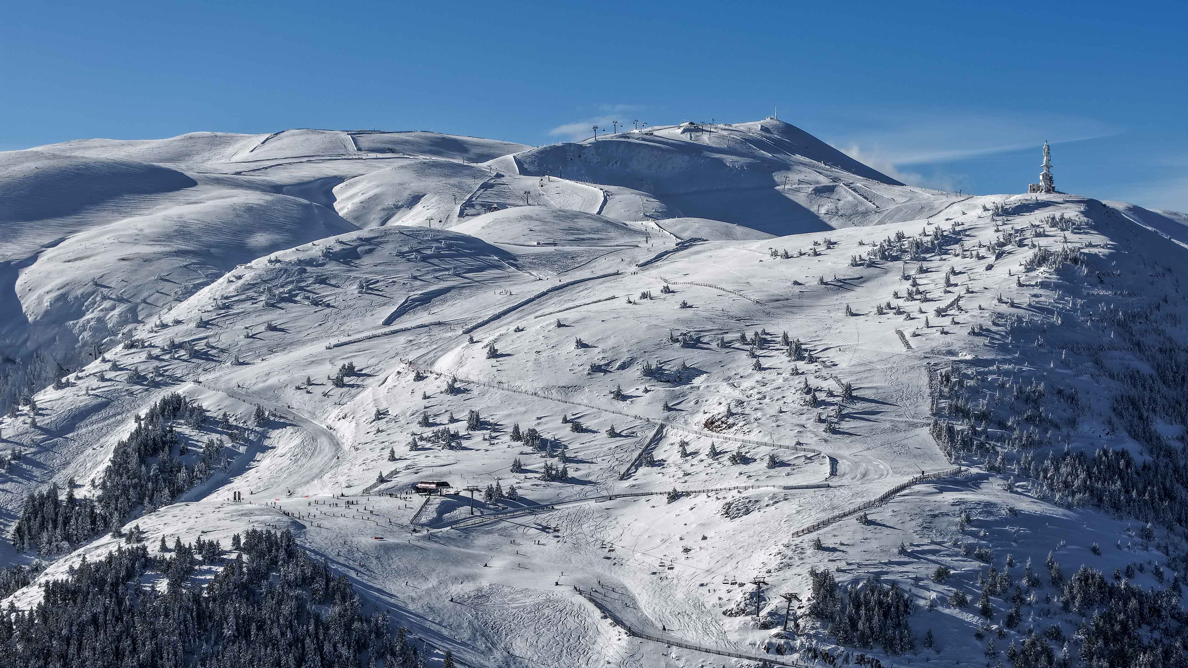 Masella