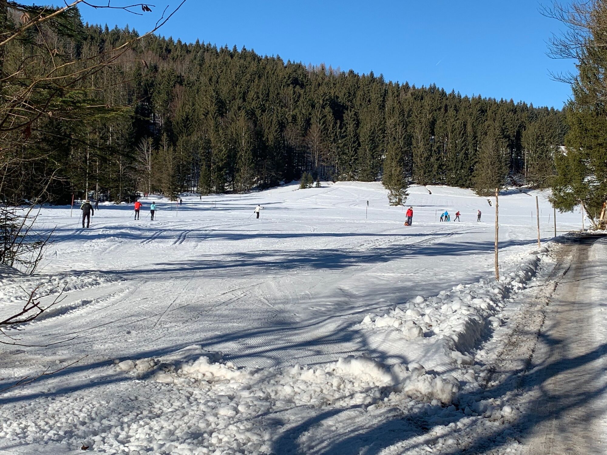 Thalgau