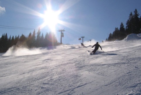 Aprica