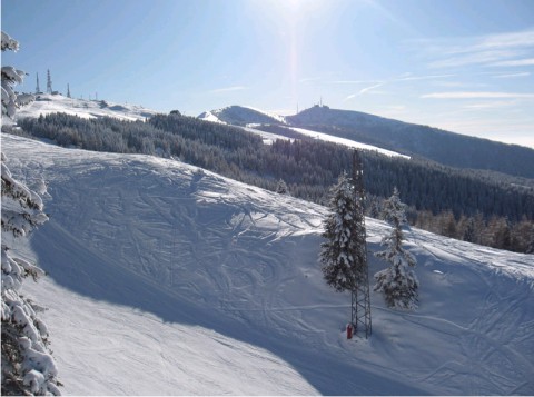 Belluno-Alpe del Nevegal