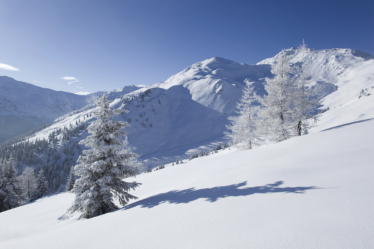 Hochzillertal-Kaltenbach