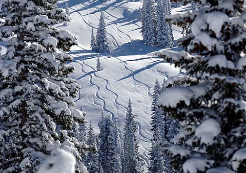 Steamboat