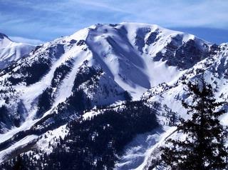 Aspen