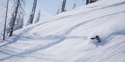 Bridger Bowl