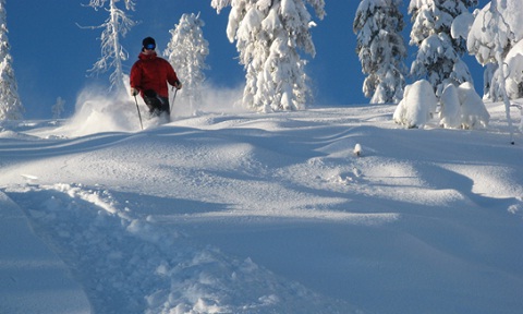 Blacktail Mountain