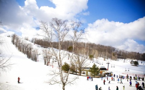 Horseshoe Resort