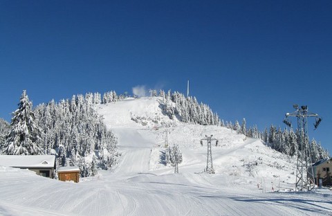 Grouse Mountain