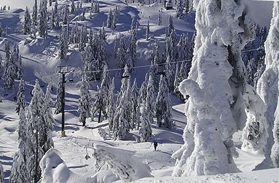 Mt. Seymour