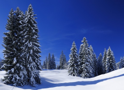 Mont Ste-Marie