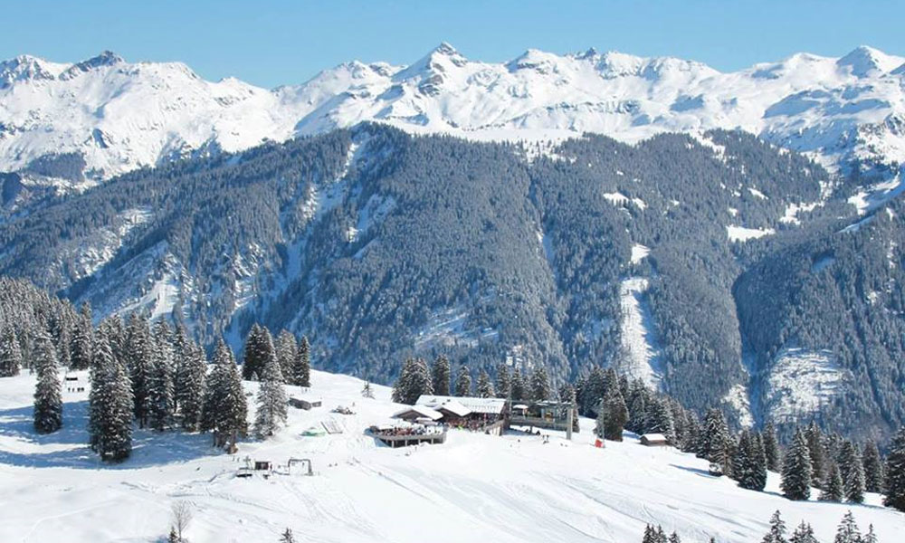 Braunwald