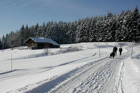 Thalgau