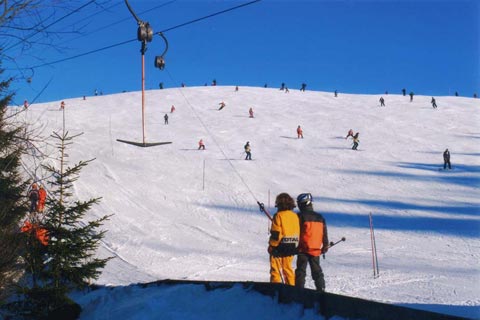 Thalgau