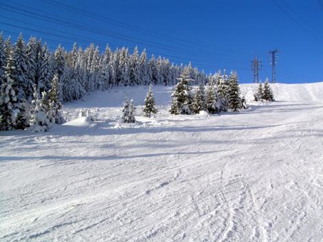 Sport Extreme