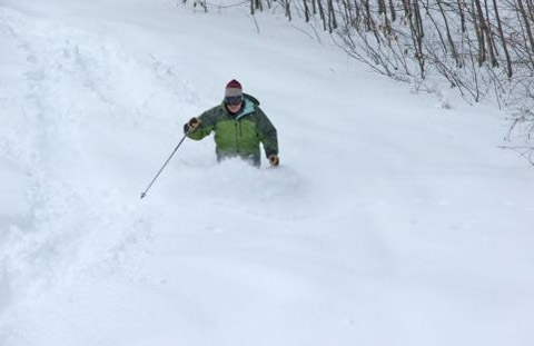 Catamount