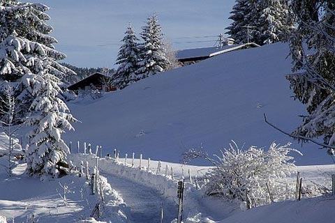 Neunerköpfle - Tannheim