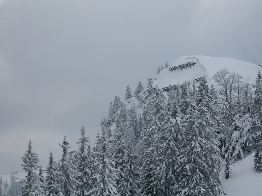 Niederalpl - Mürzsteg