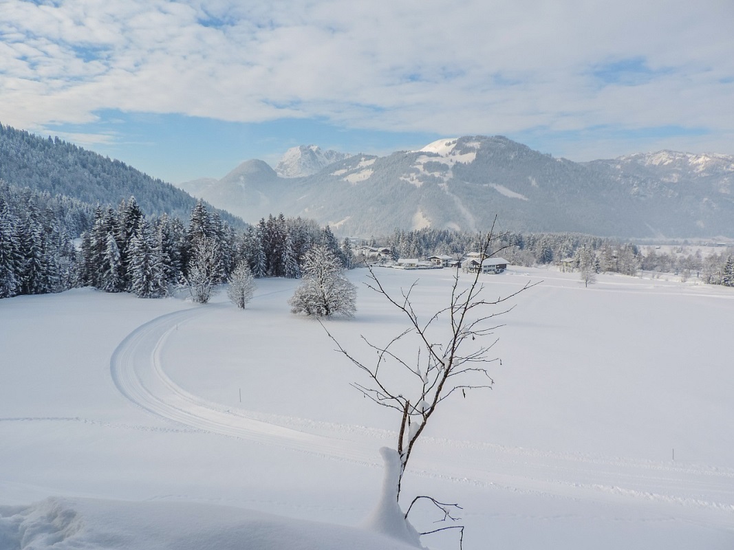 Skilifte Lärchenhof