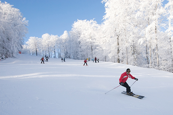 Magura Ski Park