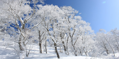 Tanbara