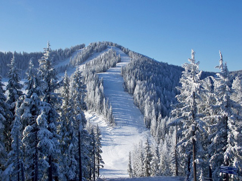 Silver Mountain